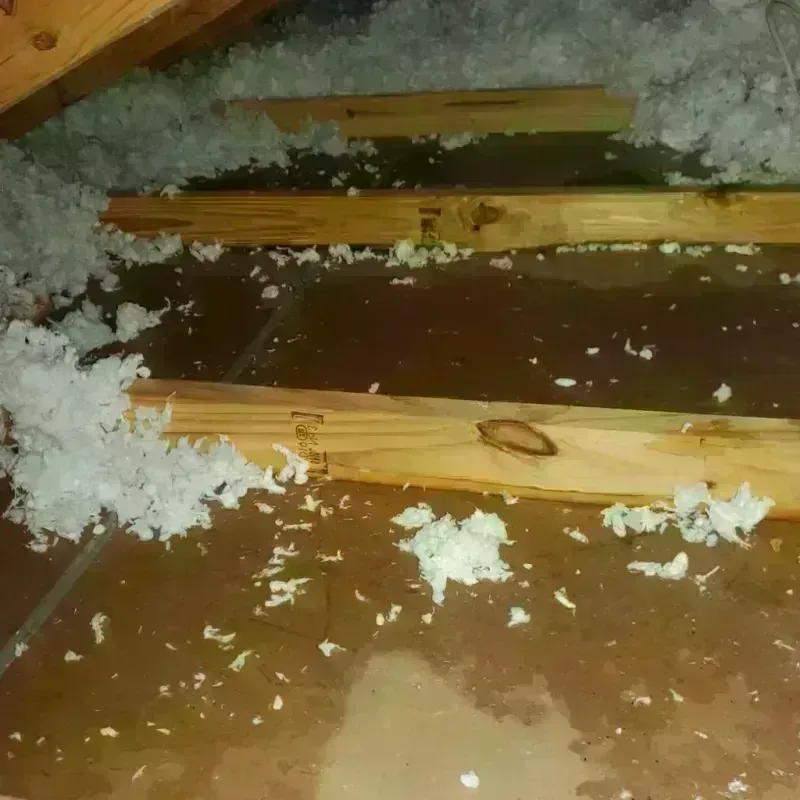 Attic Water Damage in Alma, WI