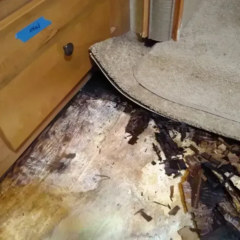 Wood Floor Water Damage in Alma, WI